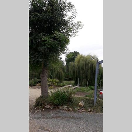 Entre Vignes Et Loire Leilighet Blaison-Saint-Sulpice Eksteriør bilde