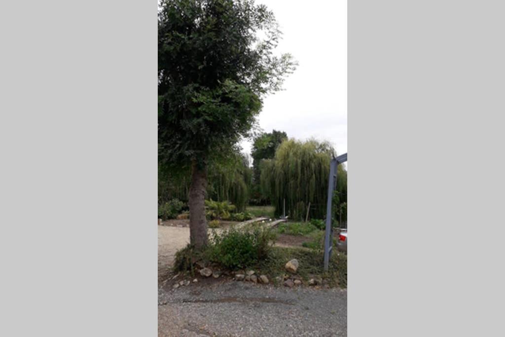 Entre Vignes Et Loire Leilighet Blaison-Saint-Sulpice Eksteriør bilde