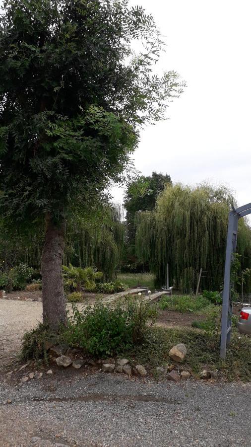 Entre Vignes Et Loire Leilighet Blaison-Saint-Sulpice Eksteriør bilde
